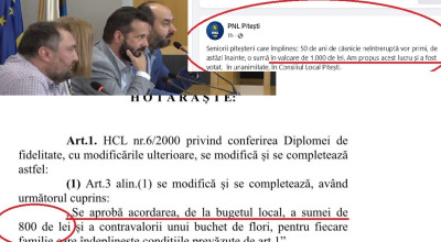 RUȘINICĂ! Liberalii piteșteni se laudă cu proiectul PSD!    VEZI DOVADA!