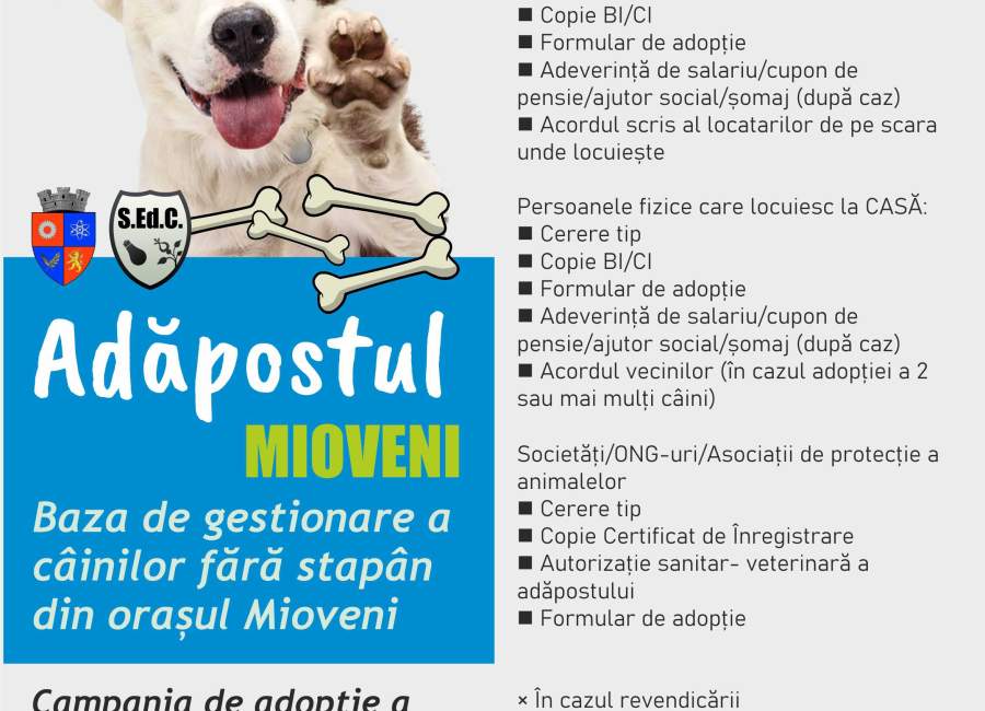 Doriți să adoptați un câine din adăpostul Mioveni? Iată ce trebuie să faceți