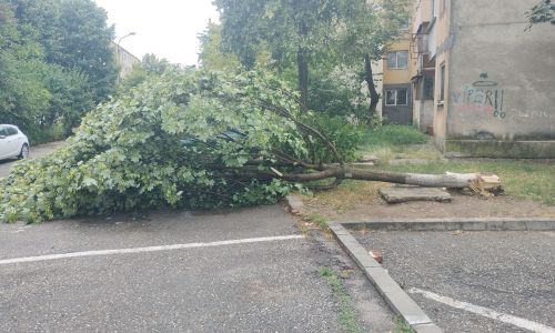 ACUM! Furtuna a făcut PRĂPĂD la Mioveni!