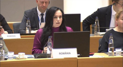 Ministrul Simona Bucura Oprescu, întrevederi cu vicepremierul Țărilor de Jos și Ministrul Muncii din Grecia!