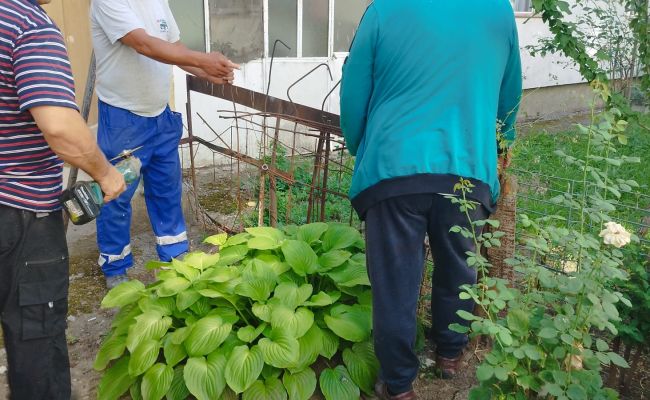 Desființarea improvizațiilor ilegale și monitorizarea platformelor de gunoi din municipiul Pitești