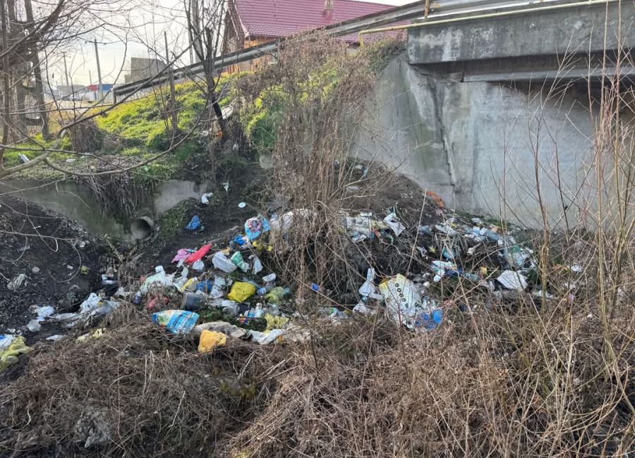 Lucrări de igienizare în comuna Budeasa