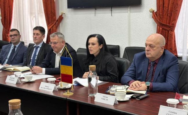 Ministrul Simona Bucura Oprescu, întrevedere cu ambasadorul Canadei în România