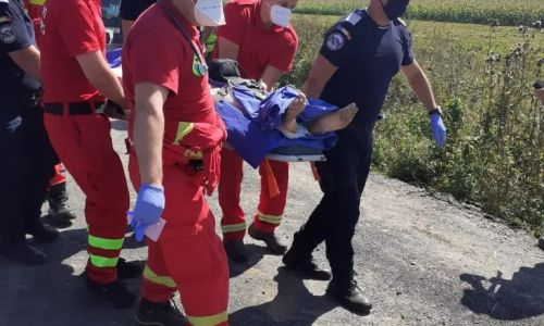ACUM! Bărbat MUȘCAT de URS în Argeș