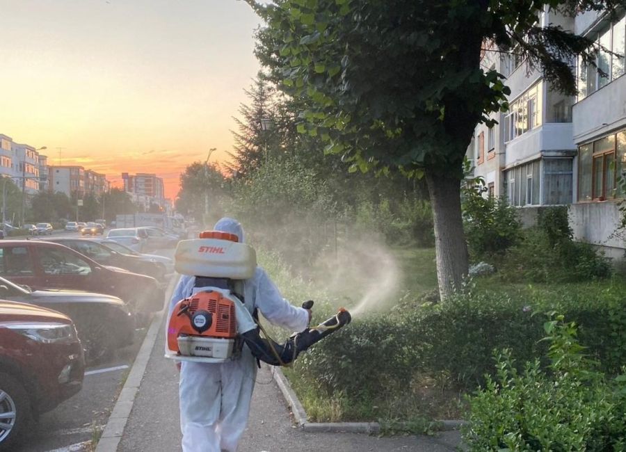Stropiri contra dăunătorilor plantelor, în perioada 17.06-27.06.2024, la Pitești!