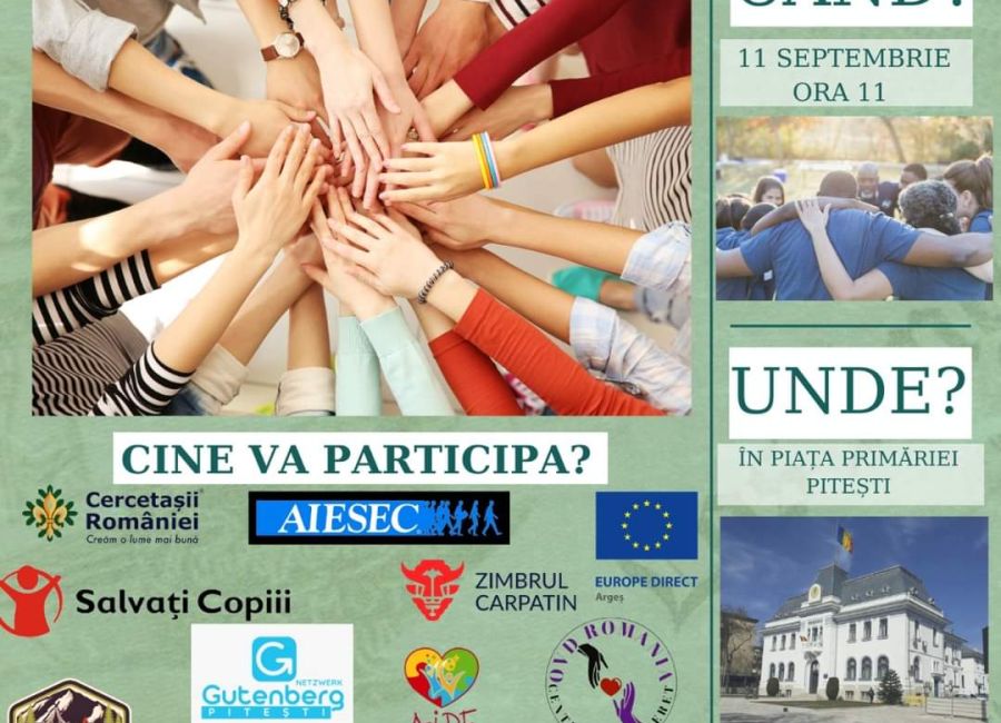 PITASO - Târgul de ONG-uri, ediția a II-a, la Pitești!