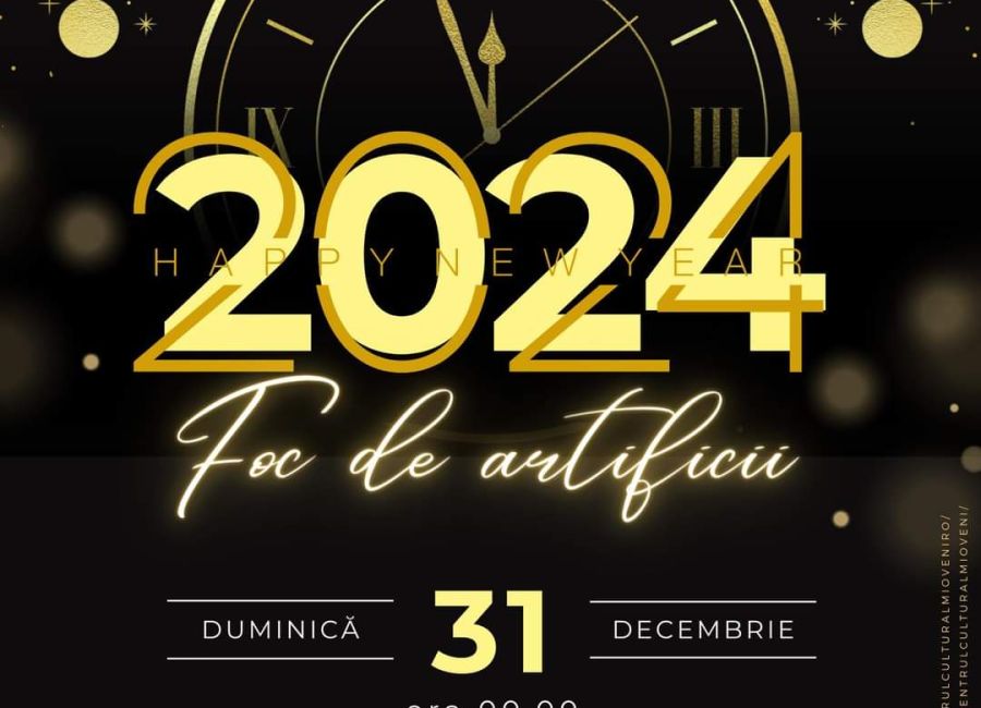 Momente de neuitat de Revelion, la Mioveni