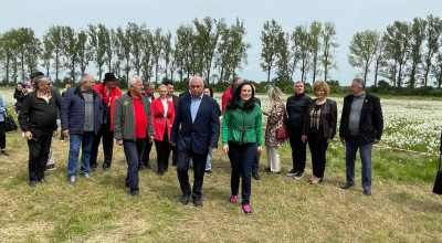'Sărbătoarea Narciselor', sărbătoarea gospodarilor din Negrași