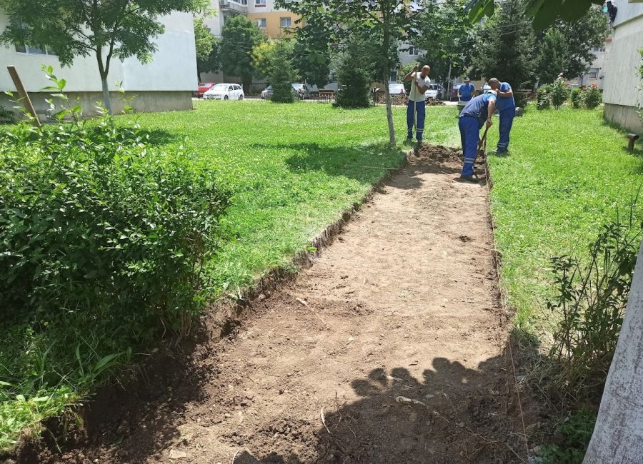 S.Ed.C Mioveni continuă activitățile specifice de întreținere a domeniului public