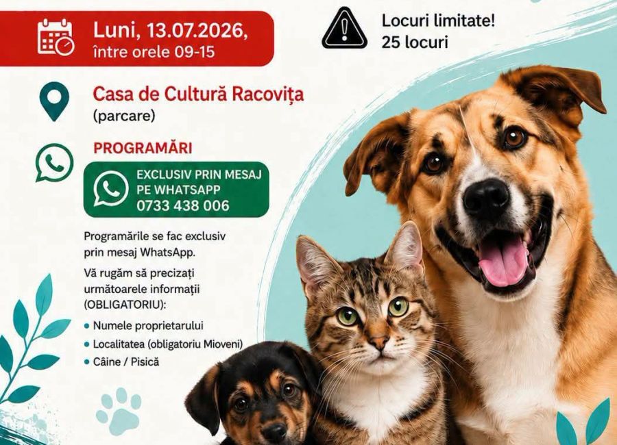Campanie de sterilizări gratuite pentru câini și pisici în Mioveni