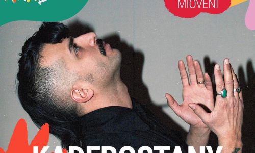 Kadebostany, pe scena Analogue Festival 2023