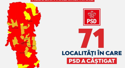 Argeșenii au ales PSD!