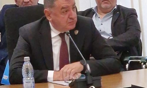 Primarul Gentea, veşti excelente privind Piteşti Arena şi noul stadion 'Nicolae Dobrin'