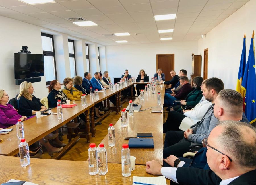 Prefectul Ioana Făcăleață, întâlnire de lucru cu managerii spitalelor din Argeș!
