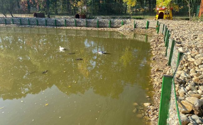 Lucrări importante la Grădina Zoologică din Pitești