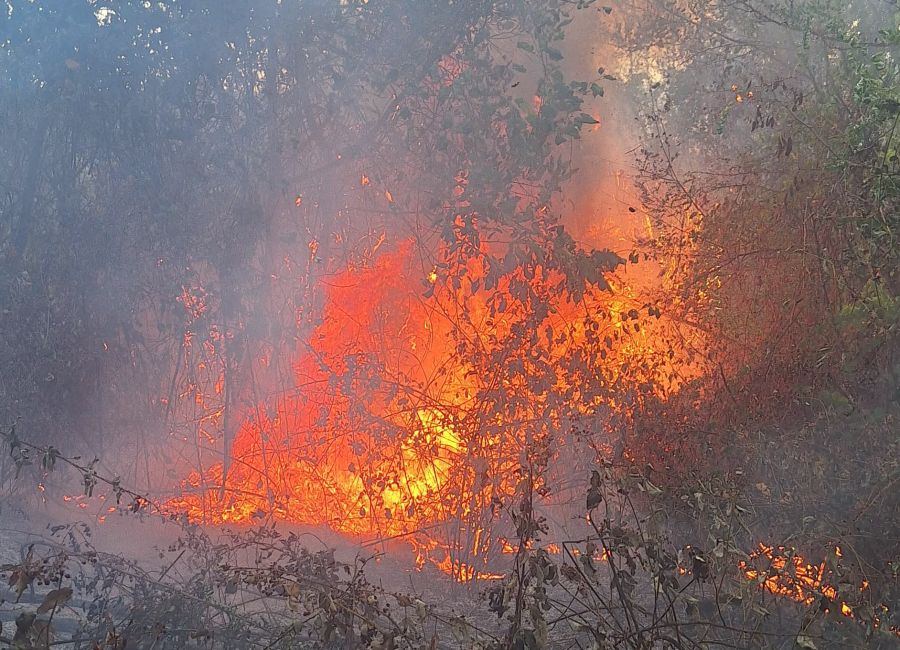 ACUM! INCENDIU puternic în Argeș