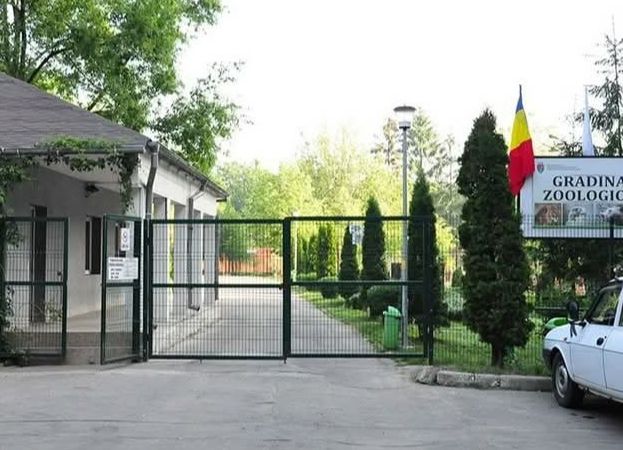 TRAGEDIE la Zoo Pitești! Îngrijitor OMORÂT de un tigru