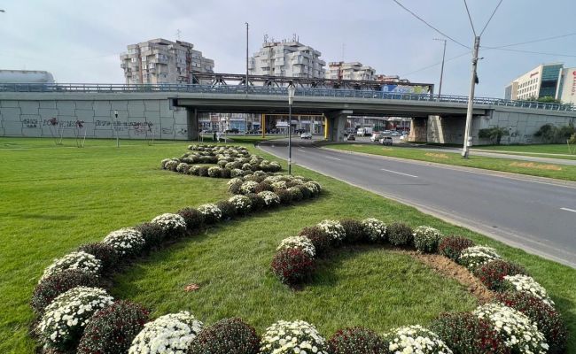 Cristian Gentea, apel către piteşteni: "Să nu distrugem gazonul sau plantele"