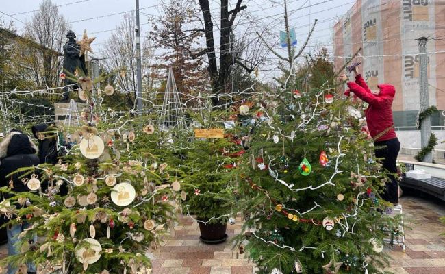 Expoziție inedită de brazi în cadrul Târgului de Crăciun de la Pitești