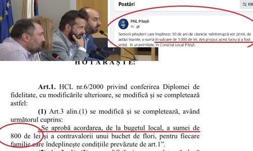 RUȘINICĂ! Liberalii piteșteni se laudă cu proiectul PSD!    VEZI DOVADA!