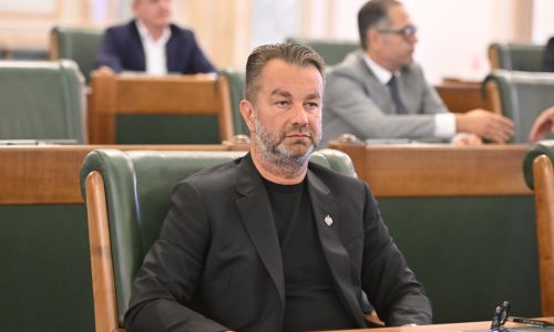 Senatorul Ovidiu Puiu, mesaj la împlinirea a 174 de ani de la nașterea lui Mihai Eminescu