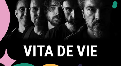 Vița de Vie, show incendiar la Analogue Festival