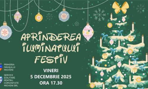 Iluminatul festiv va fi aprins la Mioveni pe 5 decembrie!
