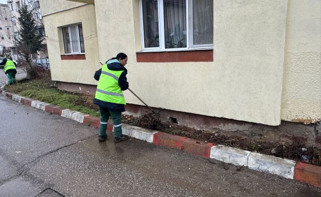 Angajații Servicii Edilitare pentru Comunitate Mioveni lucrează pentru colectarea frunzelor și a resturilor vegetale!