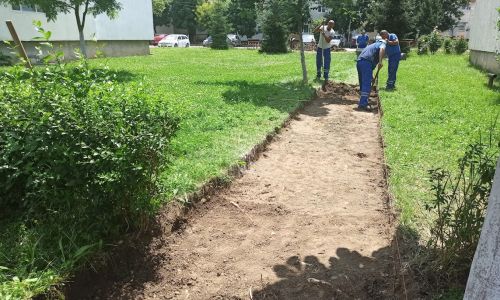 S.Ed.C Mioveni continuă activitățile specifice de întreținere a domeniului public
