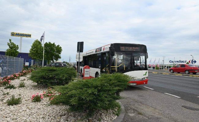 Transportul metropolitan este funcțional și în comuna Căteasca! Mesajul primarului Gentea