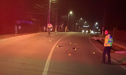 TRAGEDIE în Argeș! Un șofer de 83 de ani a OMORÂT doi oameni