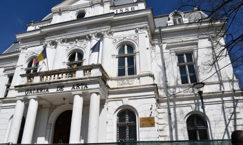 Proiect privind digitalizarea capodoperelor din Galeria de Artă 'Rudolf Schweitzer-Cumpăna'