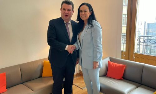 Ministrul Simona Bucura-Oprescu, reuniune bilaterală cu omologul din Germania, Hubertus Heil