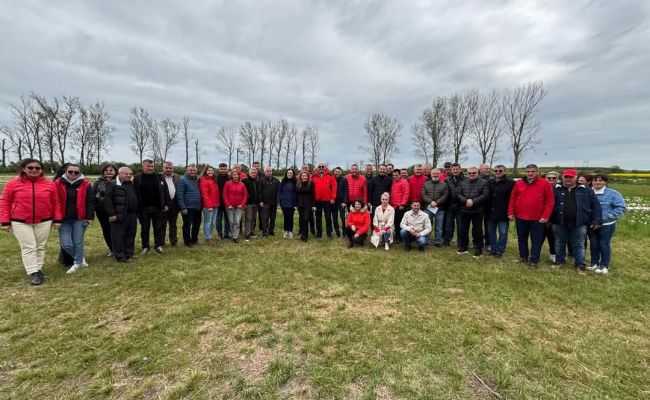 Negrași, locul unde narcisele unesc natura, oamenii și tradițiile!