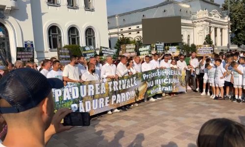 Cristian Gentea: "Noi nu avem niciun interes personal decât  ca Pădurea Trivale să fie folosită de către piteșteni"