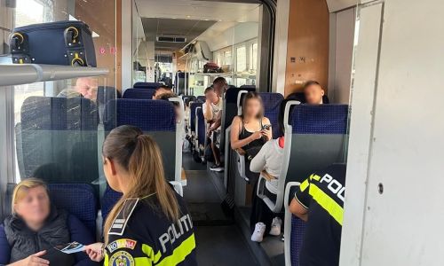 Polițiștii, activități preventive în Gara Pitești