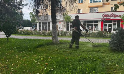 Ample acțiuni de curățenie a spațiului verde din orașul Mioveni!