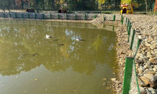 Lucrări importante la Grădina Zoologică din Pitești