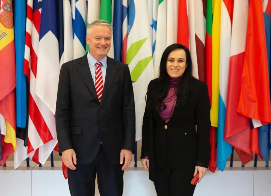 Ministrul Simona Bucura Oprescu, reuniune bilaterală cu secretarul general OCDE