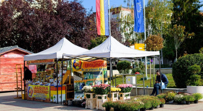 S-a încheiat Sărbătoarea Recoltei și Târgul Meșterilor Populari la Mioveni – trei zile închinate tradițiilor și gustului autentic românesc