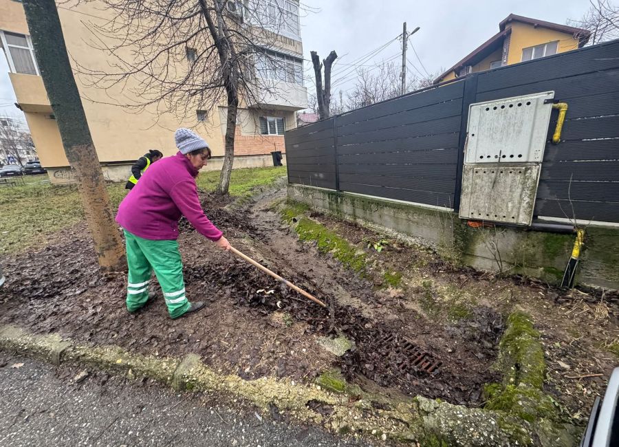 Angajații Servicii Edilitare pentru Comunitate Mioveni lucrează pentru colectarea frunzelor și a resturilor vegetale!