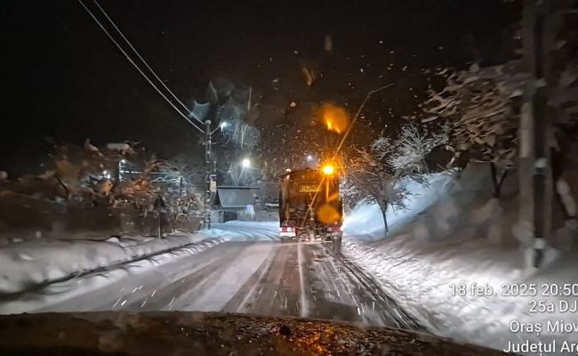 Echipele din cadrul Servicii Edilitare pentru Comunitate, ample acțiuni de deszăpezire