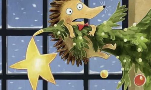 Zoo Pitești - programul de vizitare în perioada zilelor de Crăciun!