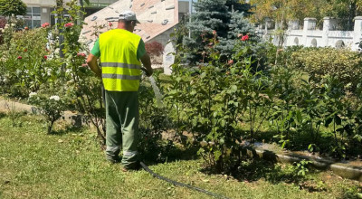 Echipele din cadrul Servicii Edilitare pentru Comunitate Mioveni, în permanență pe teren!