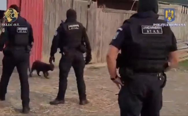 VIDEO! Ferma GROAZEI în Argeş! Descoperire ŞOCANTĂ