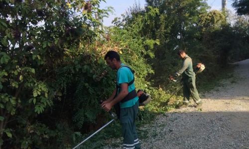 Lucrări de curățare și întreținere a rigolelor în cartierul Colibași