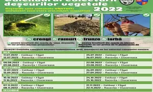 Prima campanie de colectare gratuită a deșeurilor vegetale