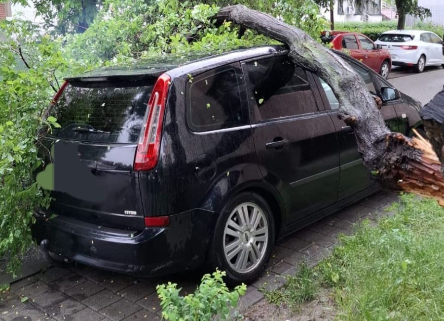 Intervenție de URGENȚĂ în Pitești! Copaci căzuți pe mașini!