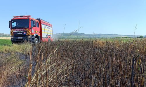 Incendii de vegetație uscată în Argeș!