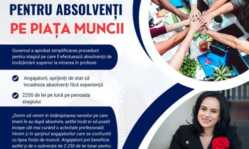 Executivul a simplificat procedura de efectuare a stagiului pentru absolvenţii de învăţământ superior
